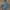 L.L.Bean Luxury Puffer Jacket Wanita Gray