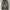 OOTJ Streetwear Skater Jeans Pria white gray photo 3