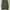 Uniqlo Streetwear Skater Casual pants Pria green photo 4