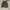 Japanese brand Vintage Luxury Jeans Pria green photo 1