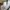 Casual Formal pants Pria multicolor photo 6