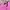 Polo Ralph Lauren Sportswear Minimalist Shirt Wanita pink photo 2