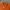 Casual Crop Top Wanita Orange