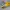 Casual Other Wanita yellow photo 4