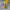 Casual Other Wanita yellow photo 3