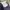 Casual Formal pants Pria multicolor photo 4