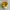 Onitsuka Tiger Sportswear Casual Sneakers Wanita yellow photo 4