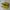 Onitsuka Tiger Sportswear Casual Sneakers Wanita yellow photo 3