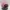 Johnny Blaze Sportswear Casual Hat Wanita pink black photo 7
