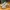 Adidas Streetwear Casual Sneakers Pria Cream Gray