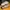 Adidas Streetwear Casual Sneakers Pria cream gray photo 5