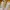 Adidas Streetwear Casual Sneakers Pria cream gray photo 4