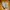Adidas Streetwear Casual Sneakers Pria cream gray photo 3