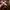 Oioi Casual Hoody Pria brown photo 6
