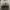 Nike Streetwear Sportswear Sneakers Wanita White