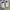 Nike Streetwear Sportswear Sneakers Wanita white photo 3