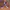 Nike Streetwear Sneakers Pria purple white photo 4