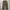 Freak's Store Streetwear Luxury Casual Pants Pria Multicolor