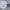 Starter Sportswear Casual Sweater Pria gray photo 2