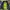 Superdry Casual Windbreaker Pria navy photo 3