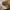 New Era Casual Hat Pria tan photo 1