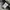 Nike Luxury Gorpcore Windbreaker Pria black photo 5