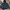 The North Face Casual Windbreaker Pria navy photo 1