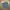 Lyle & Scott Streetwear Casual Casual shirt Pria multicolor photo 1