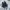 VANS Streetwear Skater Sneakers Pria black photo 4