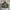 Earth, Music & Ecology Streetwear Y2K Windbreaker Pria green brown photo 7