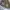 Earth, Music & Ecology Streetwear Y2K Windbreaker Pria green brown photo 3