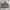Earth, Music & Ecology Streetwear Y2K Windbreaker Pria green brown photo 1