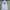 Polo Ralph Lauren Casual Hoody Pria white photo 1