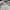 Zephyr D'Urban Sportswear Casual Hat Pria white photo 7