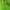 Nike Casual Sandals & slide Pria green photo 5