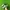 Nike Casual Sandals & slide Pria green photo 3