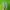 Nike Casual Sandals & slide Pria green photo 4
