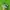 Nike Casual Sandals & slide Pria green photo 1
