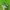 Nike Casual Sandals & Slide Pria Green