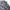 Polo Ralph Lauren Streetwear Y2K Casual shirt Pria multicolor photo 2