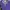 Columbia Vintage Pria purple photo 2