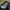 Streetwear Gorpcore Tracksuit Pria black photo 5