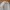 Patagonia Casual T-shirt Pria white black photo 3