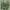 Casual T-shirt Pria green photo 3