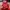 Ripndip Casual Hoody Pria red photo 4