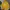Superdry Casual Hoody Pria yellow photo 1