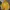 Superdry Casual Hoody Pria Yellow