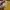 Superdry Casual Hoody Pria yellow photo 7