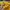 Superdry Casual Hoody Pria yellow photo 6