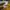 Superdry Casual Hoody Pria yellow photo 8
